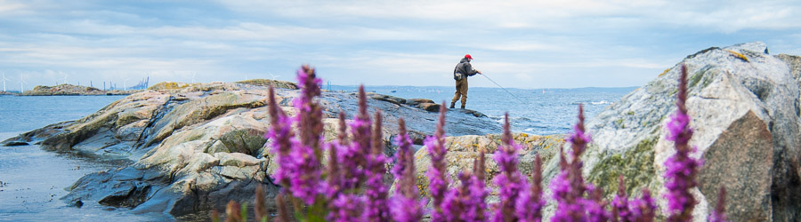 Rocky coast and fly angler